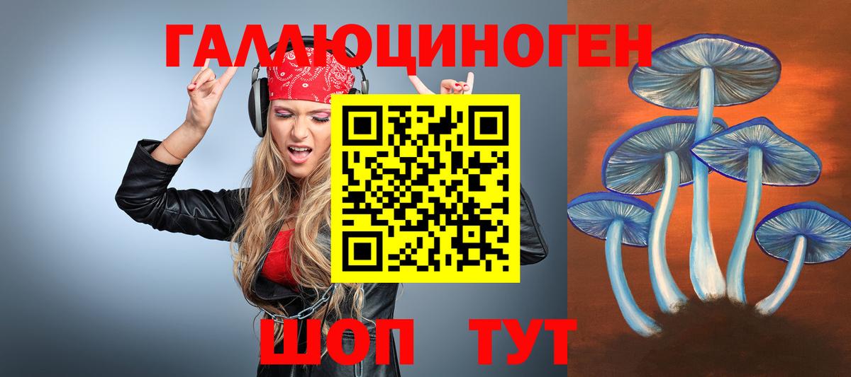 продажа наркотиков  Вход с VPN  Менделеевск  Галлюциногенные грибы мицелий 